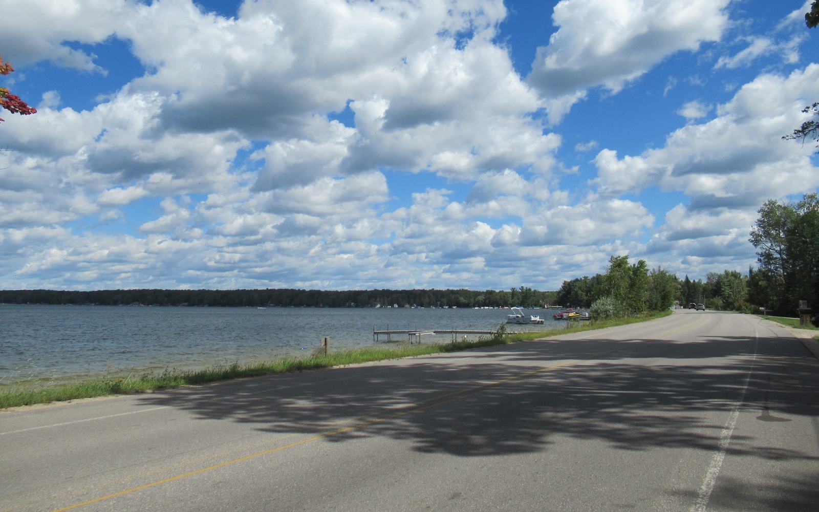 Sell Mineral Rights in Manistee Lake, MI
