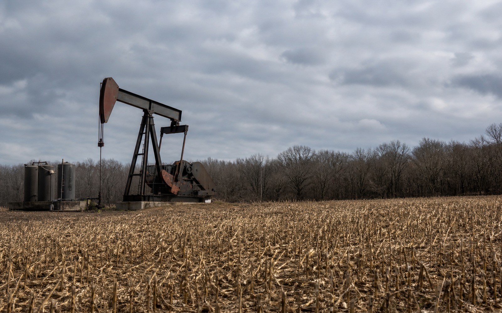 Sell Mineral Rights in Antrim County, MI